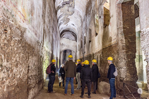 Rome : Visite guidée de la Domus Aurea pour les groupesRome : visite guidée en groupe de la Domus Aurea