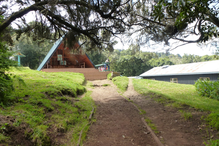 Mount Kilimanjaro Marangu Route