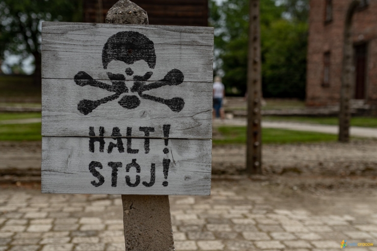 Desde Cracovia: tour guiado por Auschwitz-BirkenauTour en inglés en grupo reducido con servicio de recogida