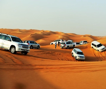 Doha: Desert Safari, Camel Ride, Dune Bashing & Inland Sea