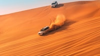 Doha, Safari du désert privé avec Camel Ride, Dune Bashing - Hizvo