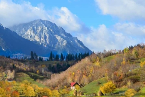 Brasov: Senderismo Privado por los Cárpatos y Santuario de OsosBrasov: Excursión Privada a las Montañas Craiuli y al Santuario del Oso