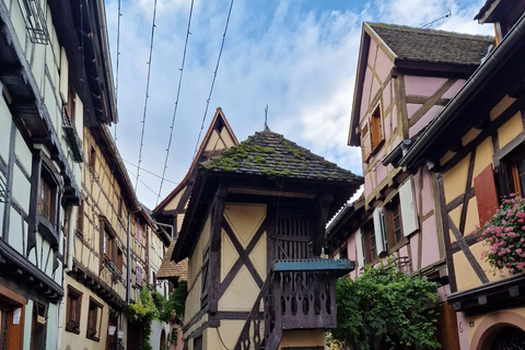 Alsace: Den legendariska vinvägen med provsmakning och lunch