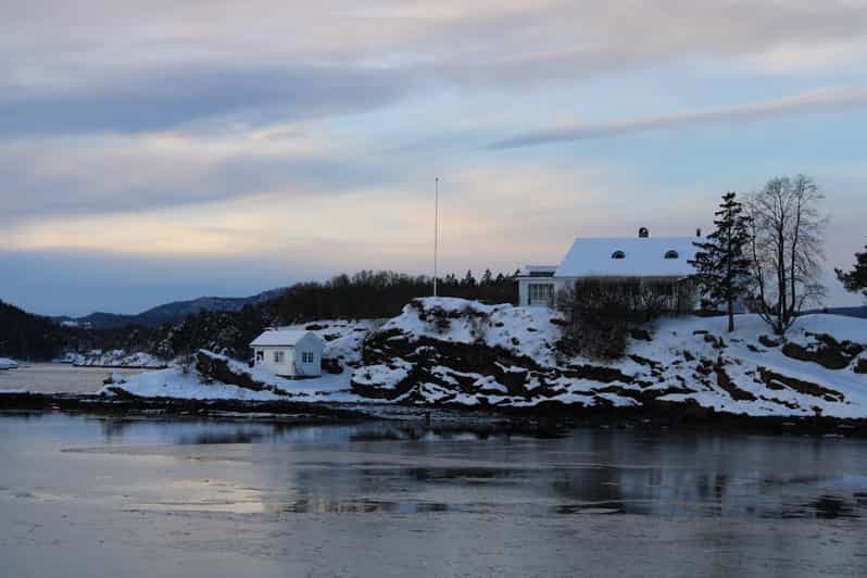 Oslo Oslo Fjord Sightseeing Cruise by Electric Boat GetYourGuide