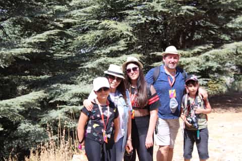 Beirut: Shouf Cedars & Beiteddine Palace Day Trip with Lunch