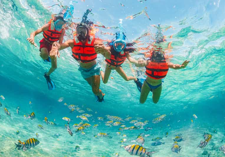 Parque Xcaret ticket de 1 día con espectáculo nocturno GetYourGuide