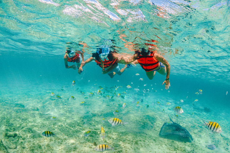 Cancun &amp; Playa del Carmen: Xcaret Plus - Mittagessen - Show - Transfers