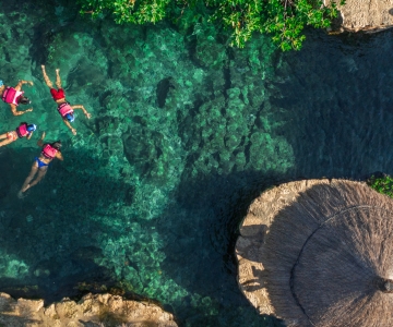 Xcaret Park: Plus Full-Day Admission with Night Show & Lunch