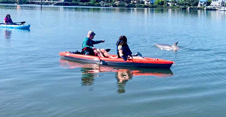 St. Augustine: Delfino e Manatee Paddle o Kayak Tour