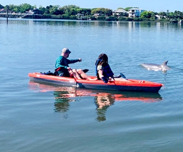 St. Augustine: Delfino e Manatee Paddle o Kayak Tour