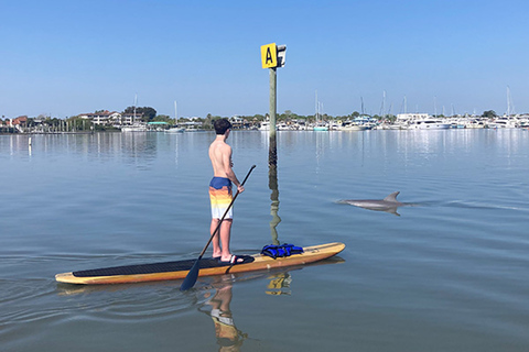 St. Augustine: Dolphin and Manatee Paddle or Kayak Tour