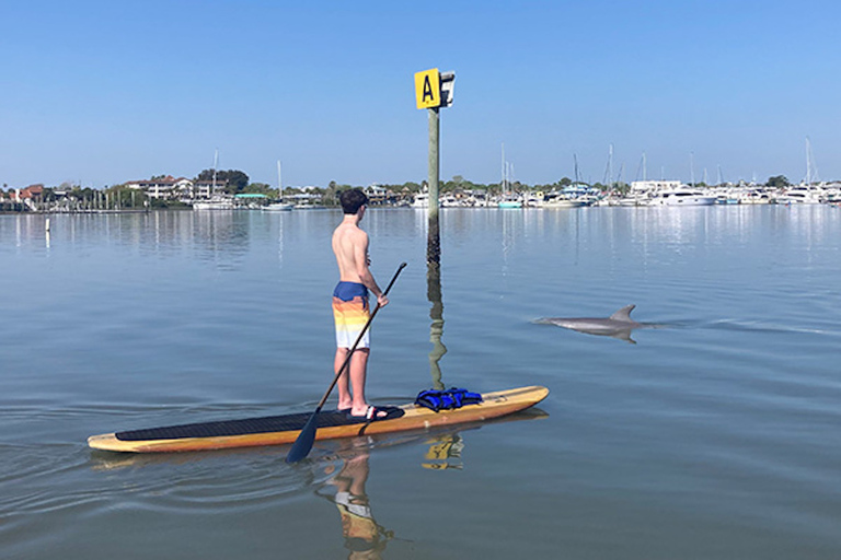 St. Augustine: Dolphin and Manatee Paddle or Kayak Tour