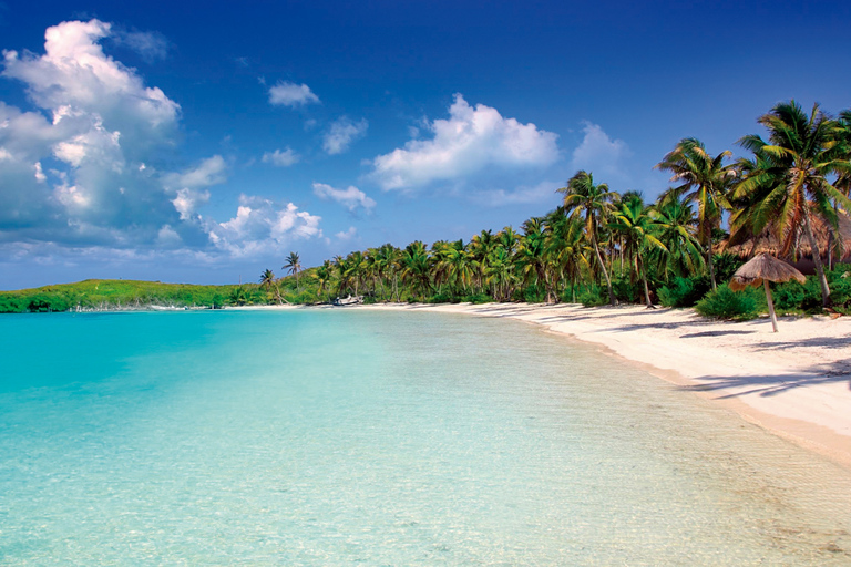 Da Cancun: tour di un giorno a Contoy e Isla Mujeres