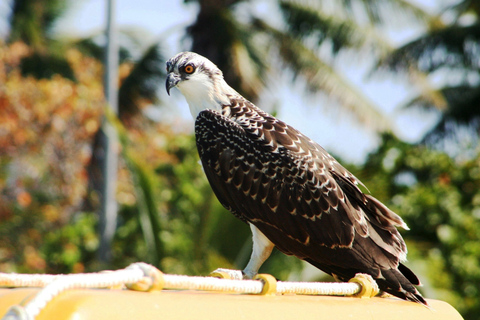 Von Cancun aus: Contoy und Isla Mujeres Tagestour