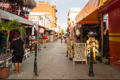 Au départ de Cancun : Excursion d'une journée à Contoy et Isla Mujeres