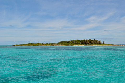 Au départ de Cancun : Excursion d'une journée à Contoy et Isla Mujeres