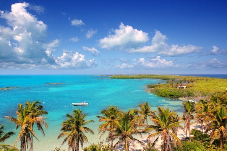 Au départ de Cancun : Excursion d'une journée à Contoy et Isla Mujeres