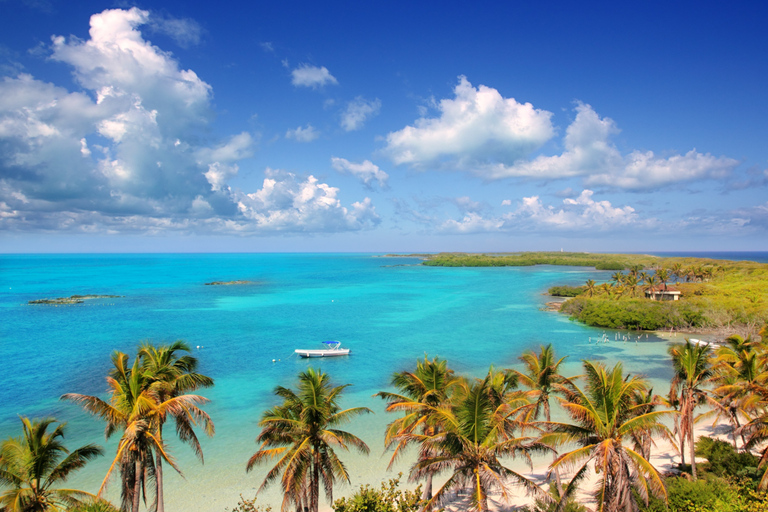 Au départ de Cancun : Excursion d'une journée à Contoy et Isla Mujeres