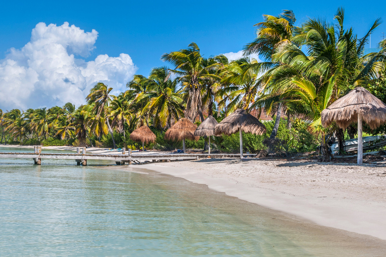 Au départ de Cancun : Excursion d'une journée à Contoy et Isla Mujeres