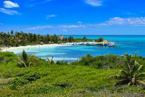 Au départ de Cancun : Excursion d'une journée à Contoy et Isla Mujeres