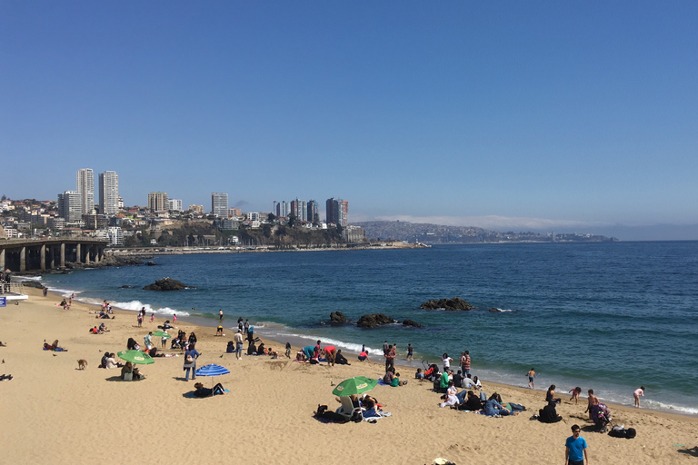 Santiago: Tour Viña Del Mar, Valparaíso, Casablanca y Reñaca