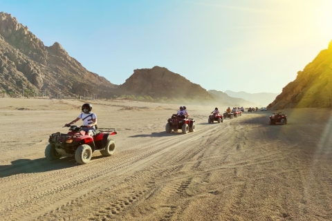 Sharm El Sheikh: woestijn- en zeesportexcursie met lunch