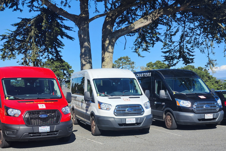 Visita a la ciudad de San Francisco en grupo reducido de medio díaSan Francisco: Tour de lo más destacado de la ciudad con traslado