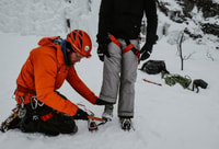 Abisko, Ice Climbing for All Levels with Certified Guide - Housity