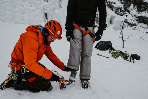 Abisko: Arrampicata su ghiaccio per tutti i livelli con guida certificataAbisko: arrampicata su ghiaccio per tutti i livelli con guida certificata