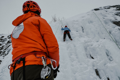 Abisko: Ijsklimmen voor alle niveaus met gecertificeerde gidsAbisko: ijsklimmen voor alle niveaus met gecertificeerde gids