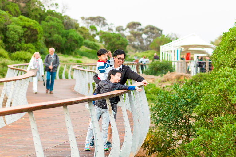 Penguin Parade: General Viewing Ticket Penguin Parade: General Viewing Entry Ticket