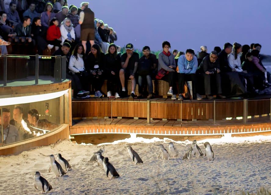 Penguin Parade, billet d'entrée de visualisation générale - Housity