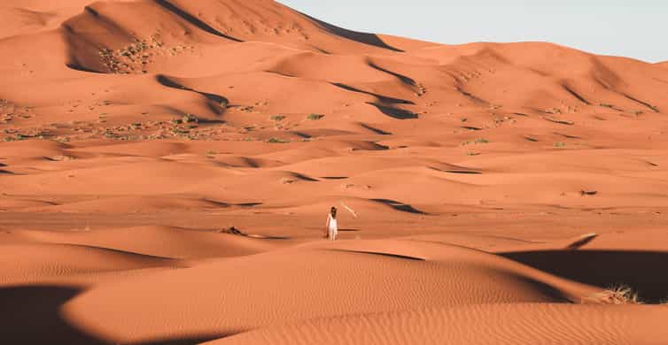 Doha: Sunrise Desert Safari with Dune Bashing and Inland Sea photo 5