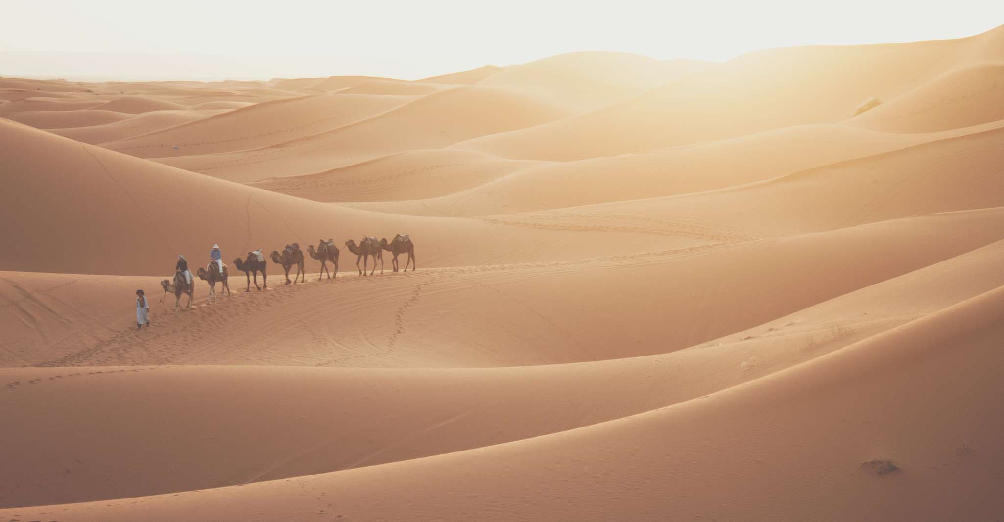Doha: Sunrise Desert Safari with Dune Bashing and Inland Sea photo 4