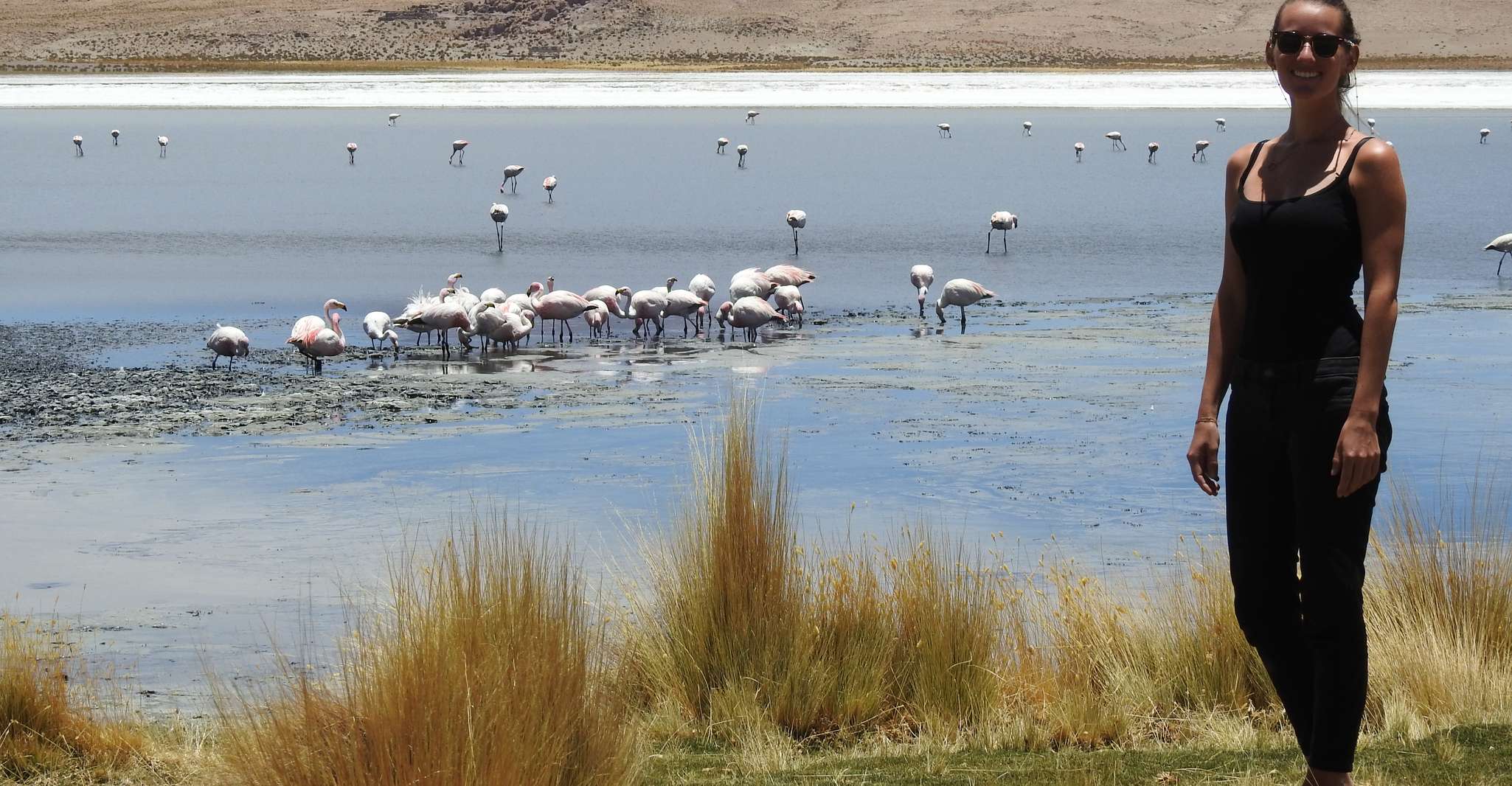 Uyuni, Uyuni Salt Flats and San Pedro de Atacama 3-Day Tour - Housity