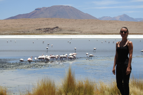 Uyuni: Excursão de 3 dias ao Salar de Uyuni e San Pedro de Atacama