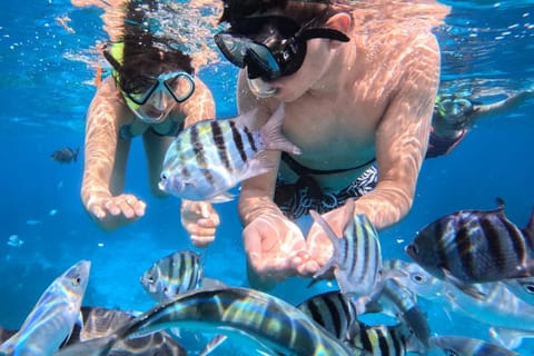 Ubud: Blue Lagoon Snorkeling and Hidden Waterfall with Lunch