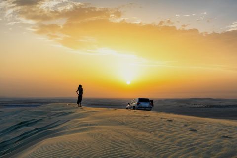 Doha: Desert Tour, Camels, Sand Surfing & Falcon Experience
