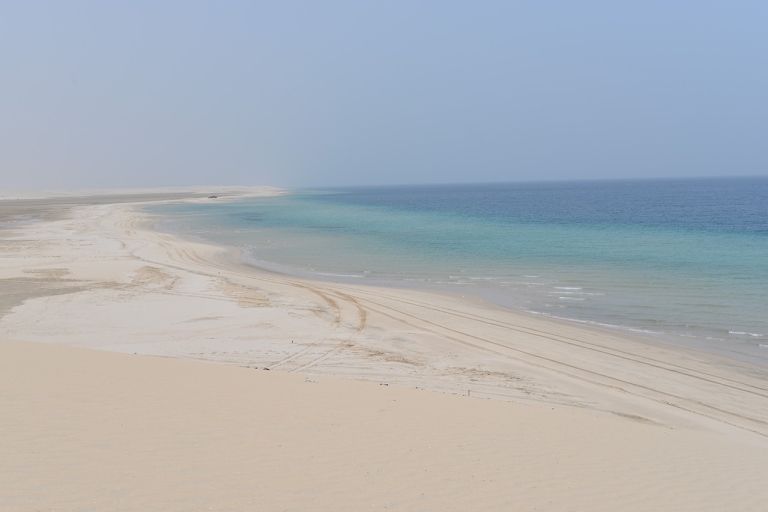 Doha: Excursión por el desierto, camellos, surf en la arena y experiencia con halconesMundial de Fútbol: Recorrido de Safari Compartido