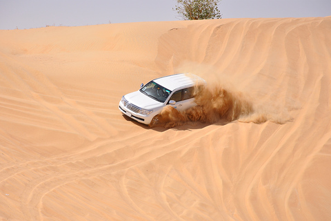 Doha: Desert Tour, Camels, Sand Surfing &amp; Falcon ExperienceShared Safari Tour