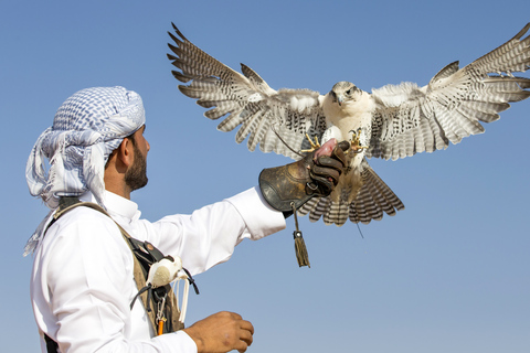 Doha: Desert Tour, Camels, Sand Surfing &amp; Falcon ExperienceShared Safari Tour