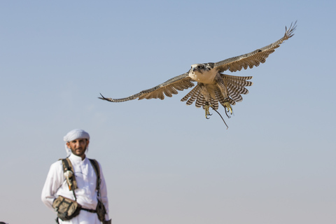 Doha: Wüstentour, Kamele, Sandsurfen & FalkenerlebnisWeltmeisterschaft: Gemeinsame Safari-Tour