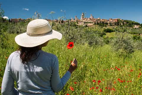From Florence: Tuscany Highlights Full-Day Tour