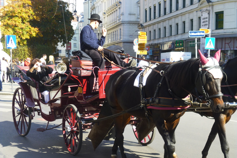 Vienna: Imperial History Guided Walking TourImperial Vienna Walking Tour around Hofburg