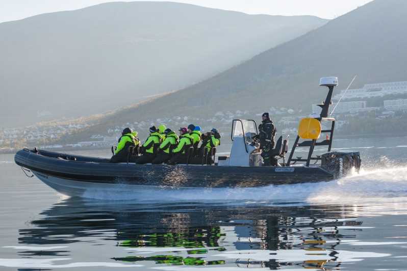 Tromsø: Skjervøy RIB Whale Watching Tour con bevande e snack