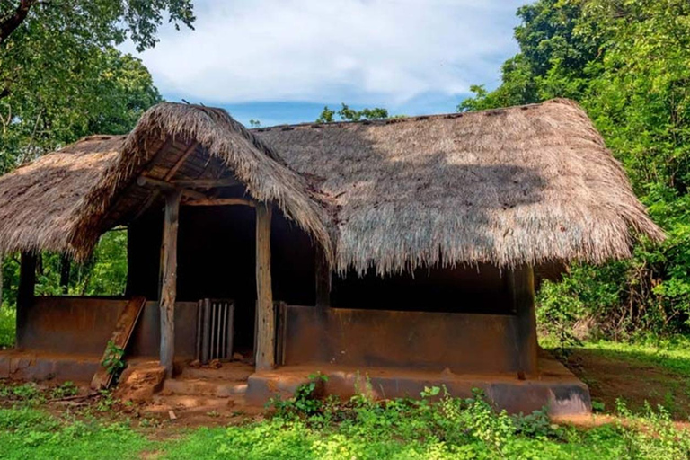 From Sigiriya to Ella Transfer with Vedda Village & More