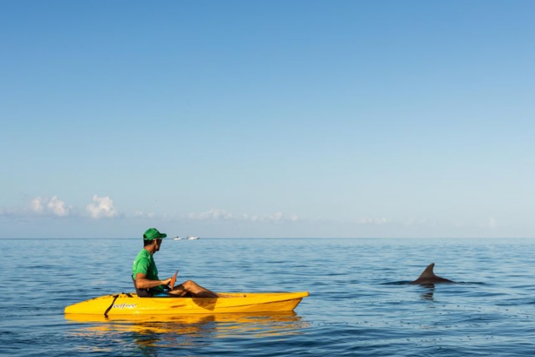 Tamarin : Excursion guidée en kayak avec des dauphins