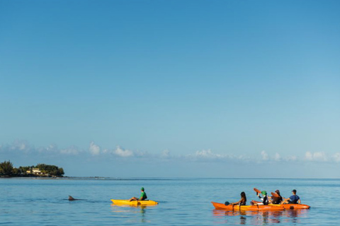 Tamarin : Excursion guidée en kayak avec des dauphins