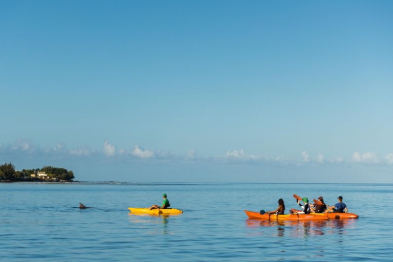 Tamarin: begeleide kajaktocht met dolfijnen