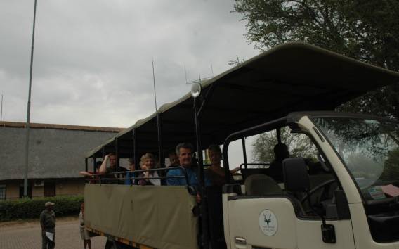 Von Durban: Halbtags-Safari und Pirschfahrt Tour